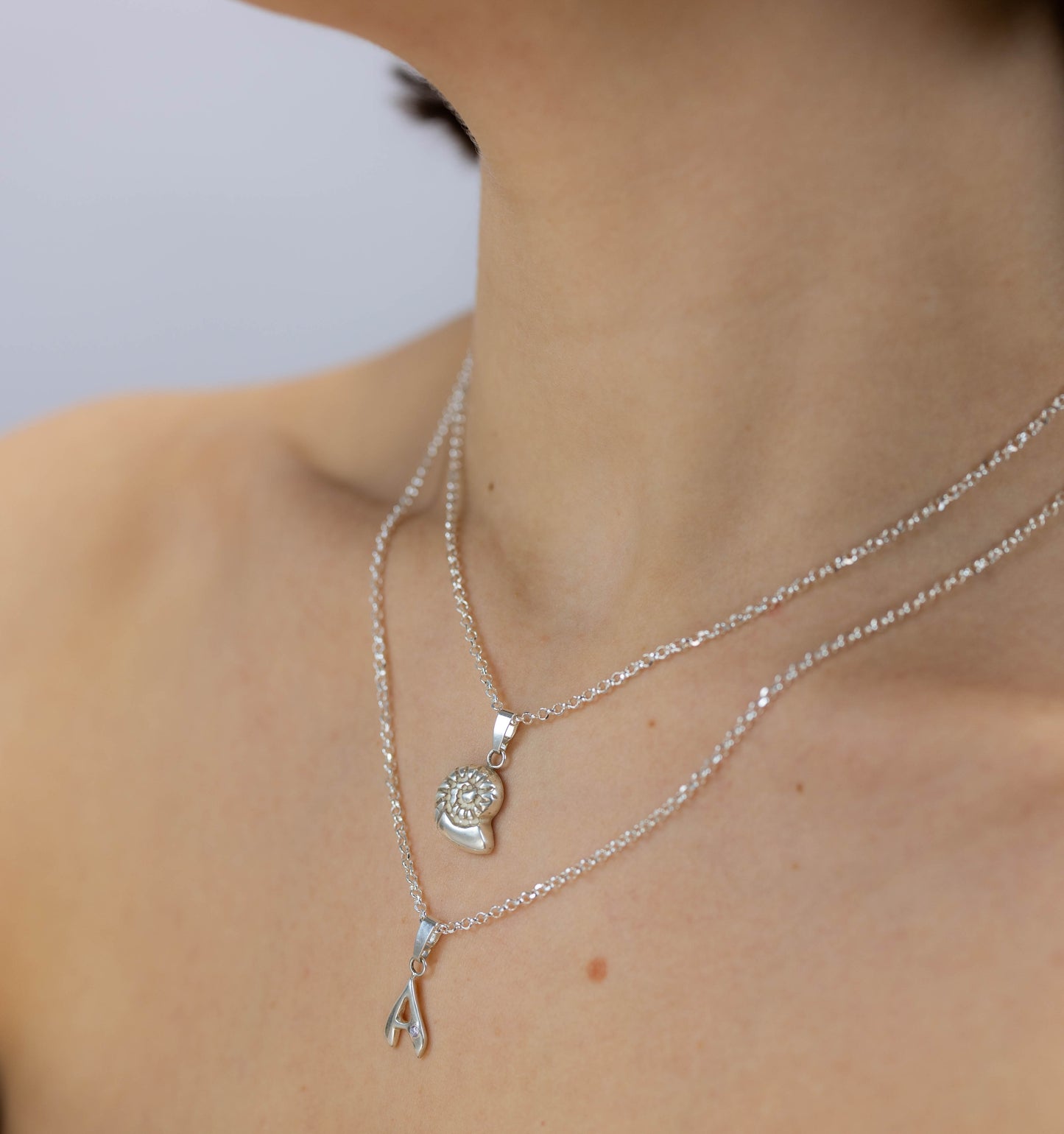 SCHELPENBEDEL - GROOT