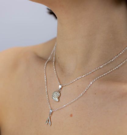 SCHELPENBEDEL - GROOT