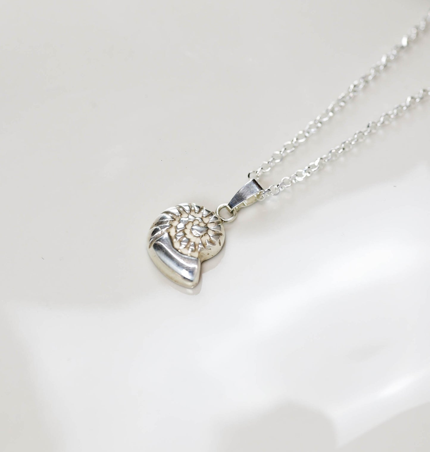 SCHELPENBEDEL - GROOT