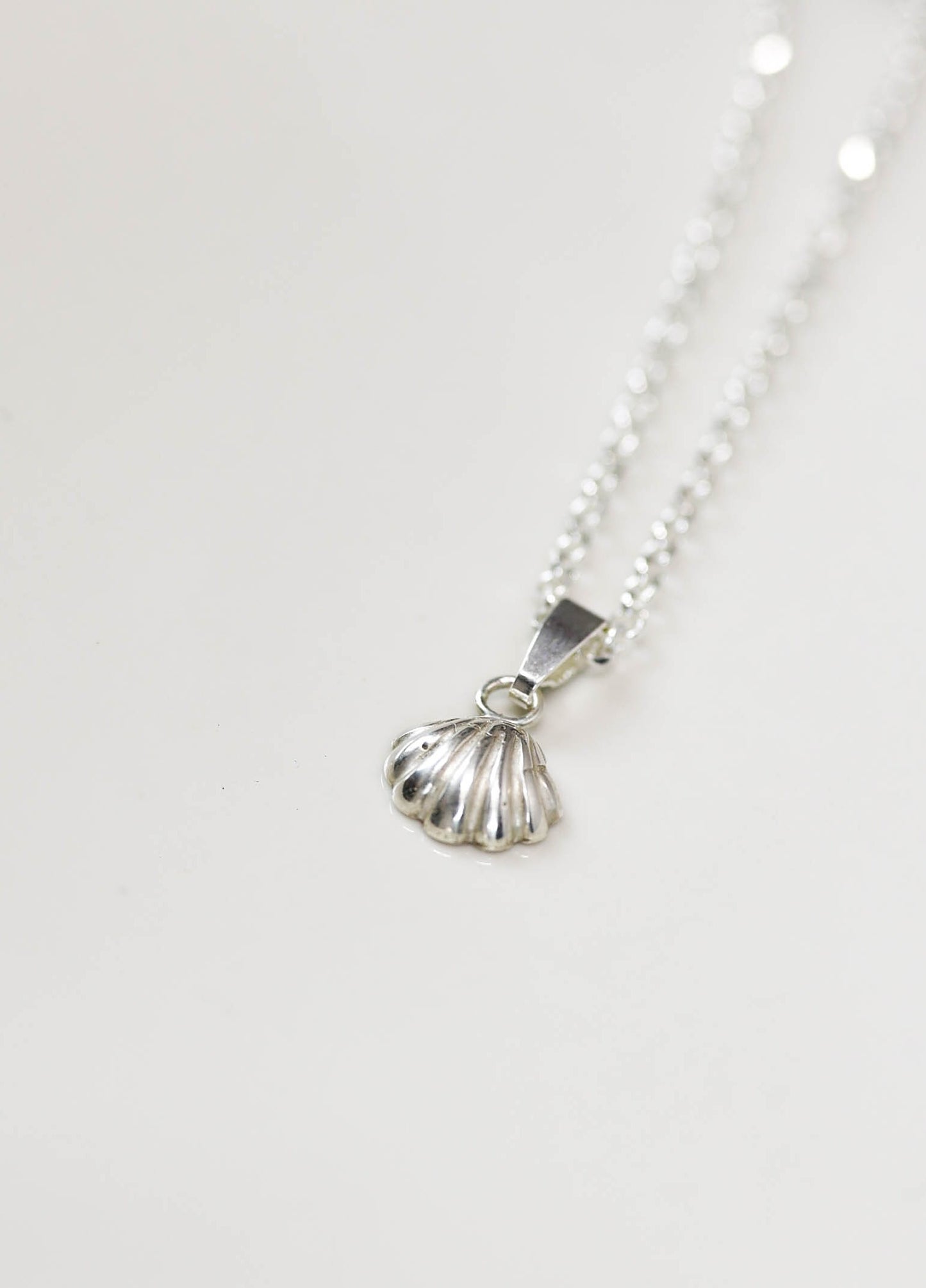 SCHELPENBEDEL - KLEIN