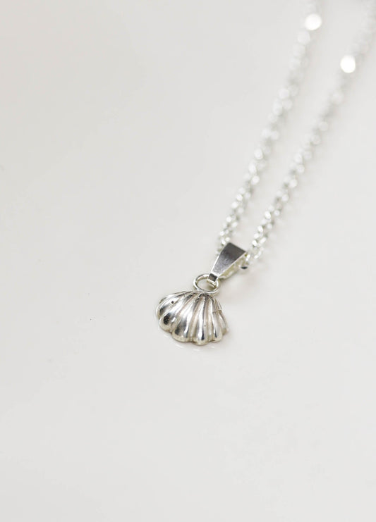 SCHELPENBEDEL - KLEIN