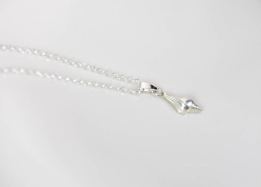 SCHELPENBEDEL - MIDDEL